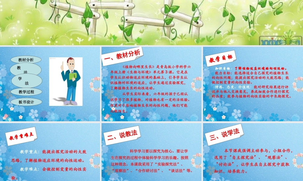 六年级科学上册 植物向哪里生长说课课件 青岛版-青岛版小学六年级上册自然科学课件