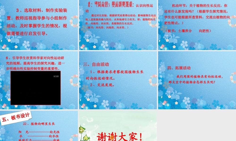 六年级科学上册 植物向哪里生长说课课件 青岛版-青岛版小学六年级上册自然科学课件