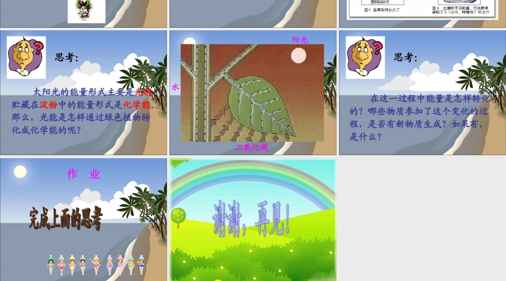 六年级科学上册 植物与能量课件 冀教版