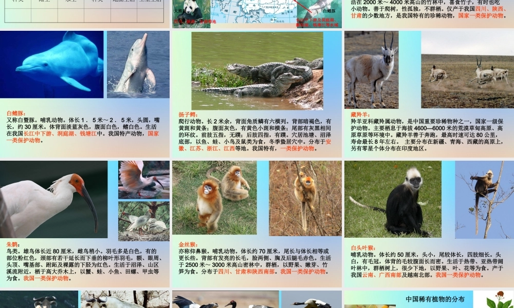 六年级科学上册 生物的多样性 2校园生物分布图课件 教科版-教科版小学六年级上册自然科学课件