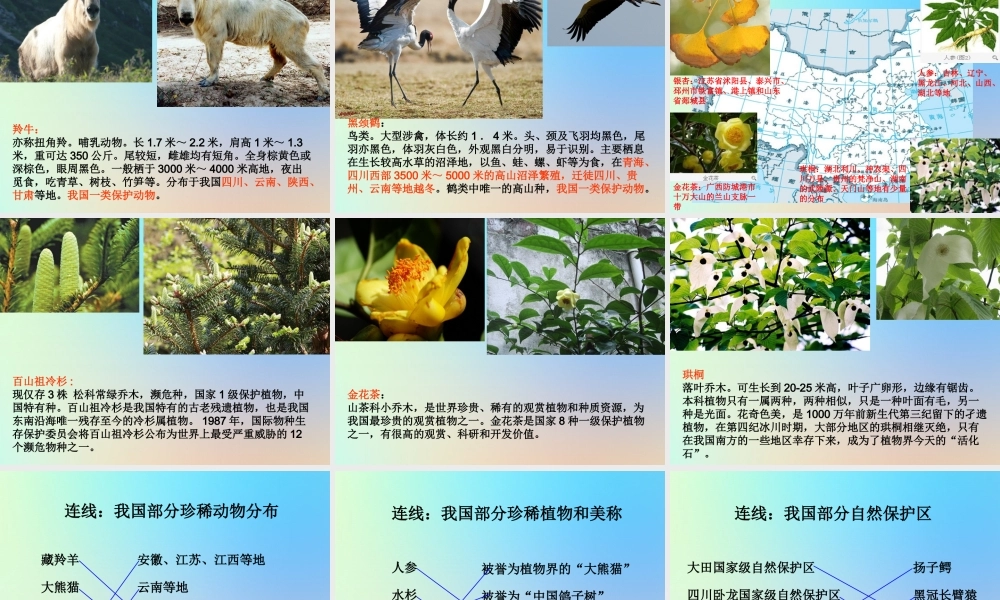 六年级科学上册 生物的多样性 2校园生物分布图课件 教科版-教科版小学六年级上册自然科学课件