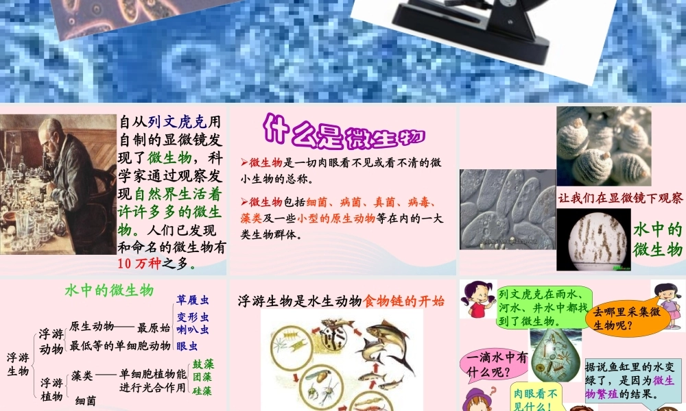 六年级科学下册 第一单元 微小世界 7《用显微镜观察身边的生命世界(三)》课件 教科版-教科版小学六年级下册自然科学课件