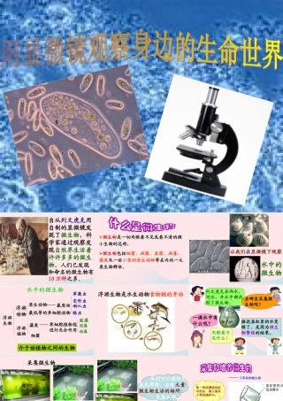 六年级科学下册 第一单元 微小世界 7《用显微镜观察身边的生命世界(三)》课件 教科版-教科版小学六年级下册自然科学课件