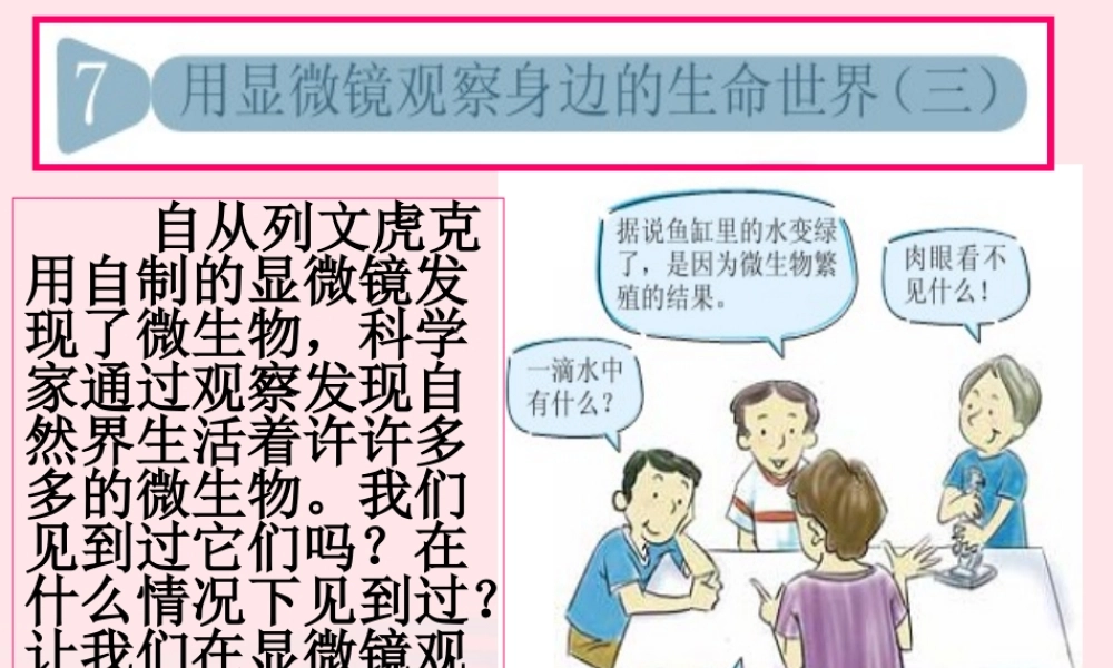 六年级科学下册 第一单元 微小世界 7《用显微镜观察身边的生命世界三》课件 教科版-教科版小学六年级下册自然科学课件