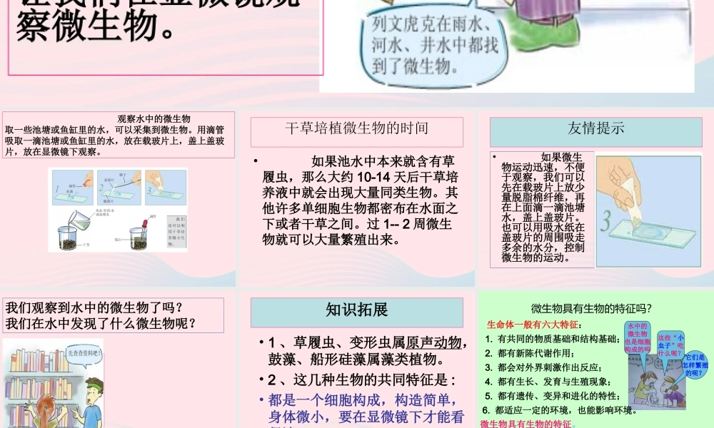 六年级科学下册 第一单元 微小世界 7《用显微镜观察身边的生命世界三》课件 教科版-教科版小学六年级下册自然科学课件
