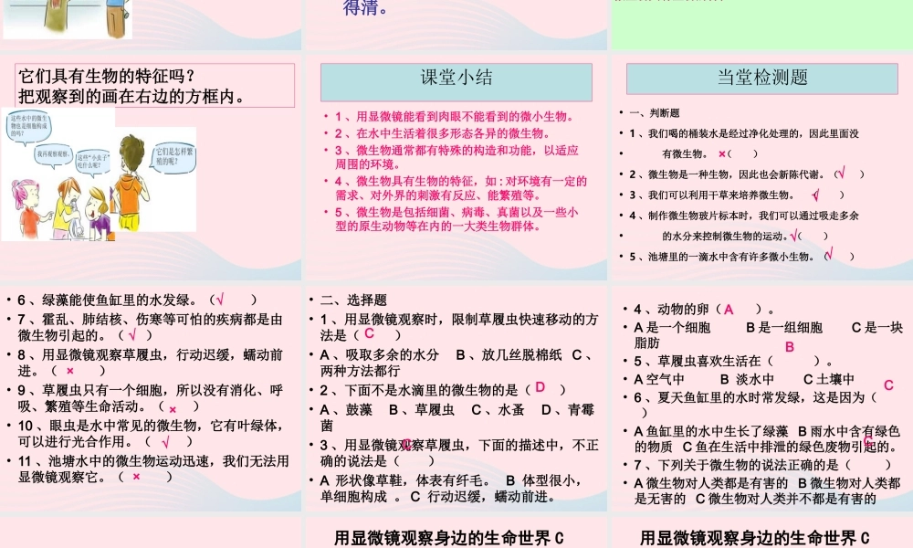 六年级科学下册 第一单元 微小世界 7《用显微镜观察身边的生命世界三》课件 教科版-教科版小学六年级下册自然科学课件