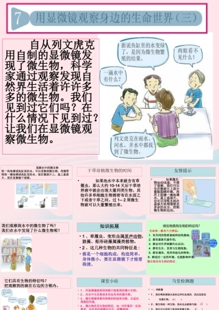 六年级科学下册 第一单元 微小世界 7《用显微镜观察身边的生命世界三》课件 教科版-教科版小学六年级下册自然科学课件