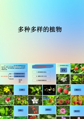 六年级科学上册 生物的多样性 3多种多样的植物课件 教科版-教科版小学六年级上册自然科学课件