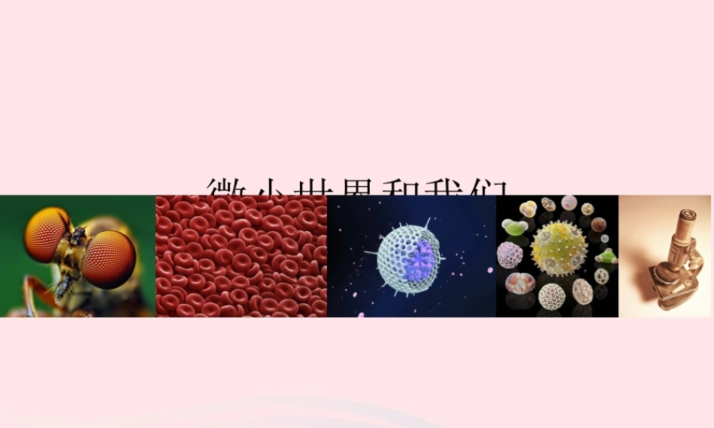 六年级科学下册 第一单元 微小世界 8 微小世界和我们课件 教科版-教科版小学六年级下册自然科学课件