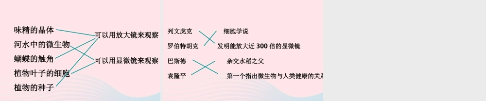 六年级科学下册 第一单元 微小世界 8 微小世界和我们课件 教科版-教科版小学六年级下册自然科学课件