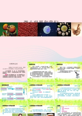 六年级科学下册 第一单元 微小世界 8 微小世界和我们课件 教科版-教科版小学六年级下册自然科学课件