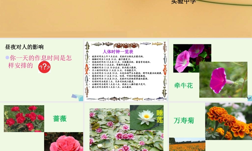 六年级科学上册 昼夜与生物课件2 青岛版-青岛版小学六年级上册自然科学课件