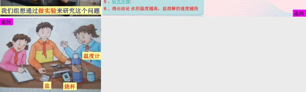 六年级科学下册 四 我们学习了科学探究 2 确定我们的研究主题课件（2） 湘教版-湘教版小学六年级下册自然科学课件