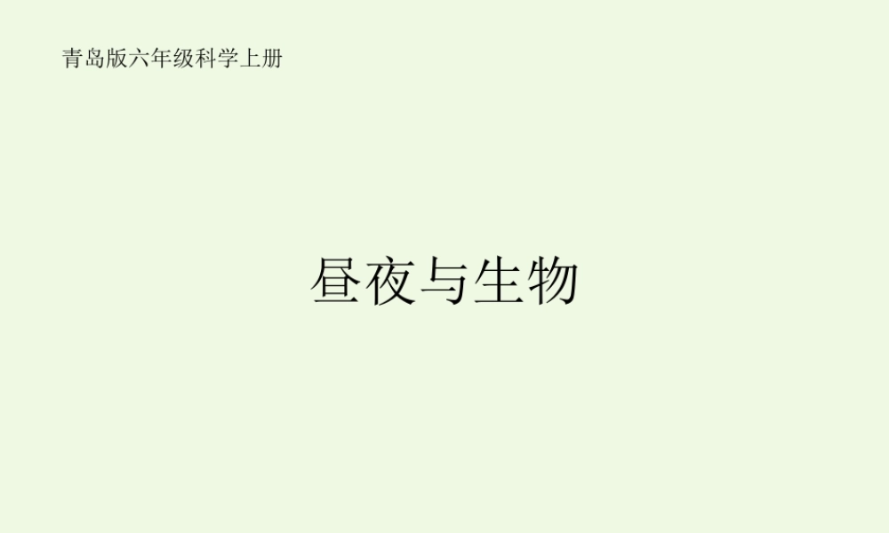 六年级科学上册 昼夜与生物课件3 青岛版-青岛版小学六年级上册自然科学课件