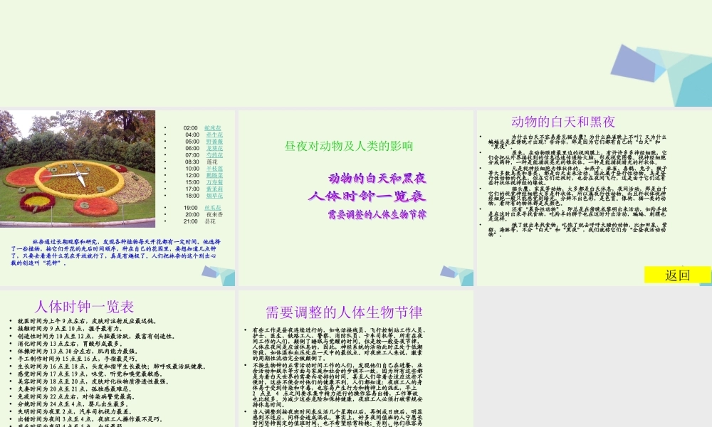 六年级科学上册 昼夜与生物课件3 青岛版-青岛版小学六年级上册自然科学课件