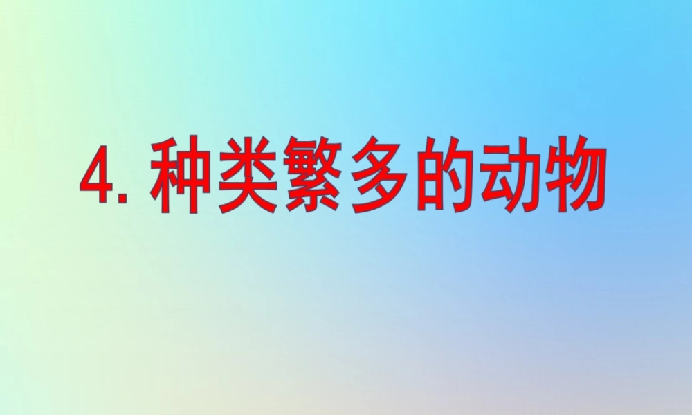六年级科学上册 生物的多样性 4种类繁多的动物课件 教科版-教科版小学六年级上册自然科学课件