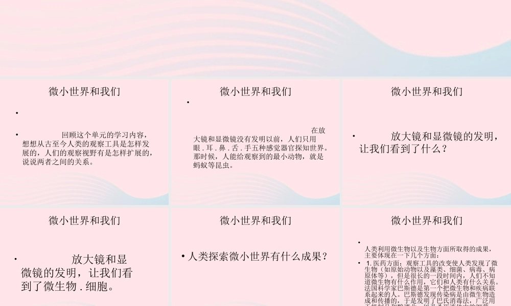 六年级科学下册 第一单元 微小世界 8 微小世界和我们课件1 教科版-教科版小学六年级下册自然科学课件