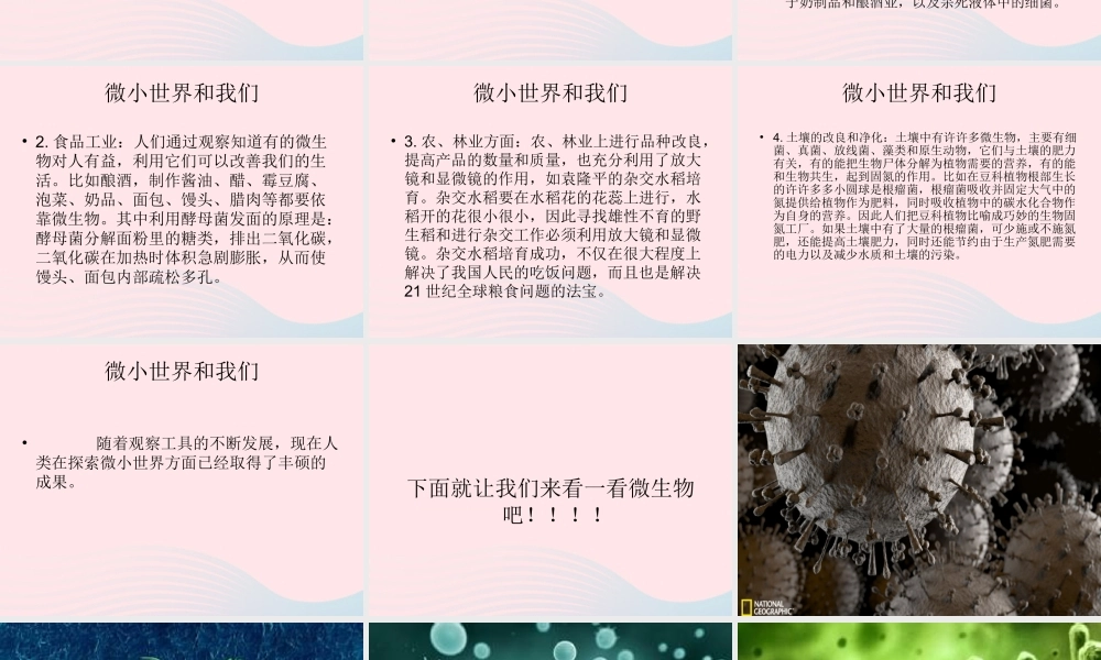 六年级科学下册 第一单元 微小世界 8 微小世界和我们课件1 教科版-教科版小学六年级下册自然科学课件