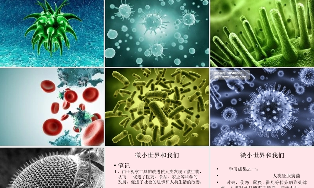 六年级科学下册 第一单元 微小世界 8 微小世界和我们课件1 教科版-教科版小学六年级下册自然科学课件