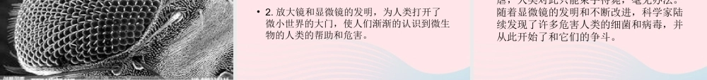 六年级科学下册 第一单元 微小世界 8 微小世界和我们课件1 教科版-教科版小学六年级下册自然科学课件