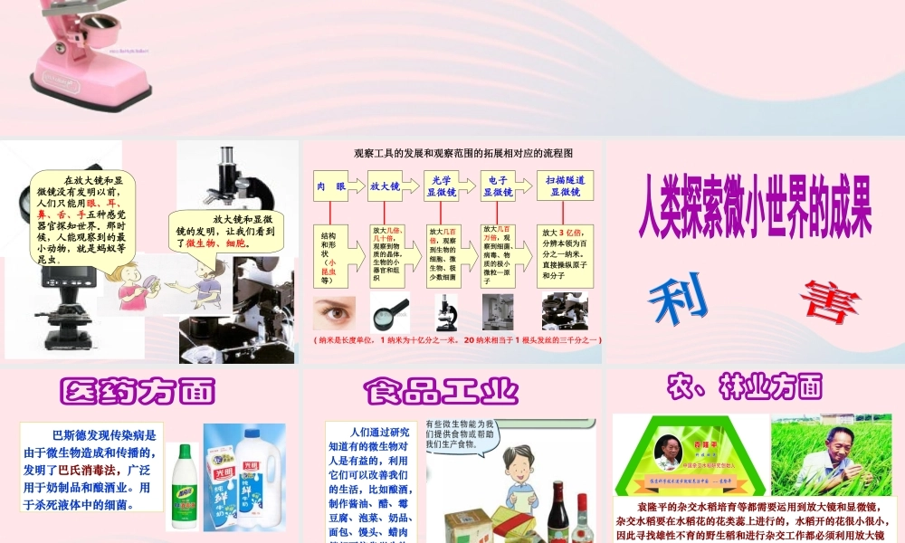 六年级科学下册 第一单元 微小世界 8 微小世界和我们课件2 教科版-教科版小学六年级下册自然科学课件