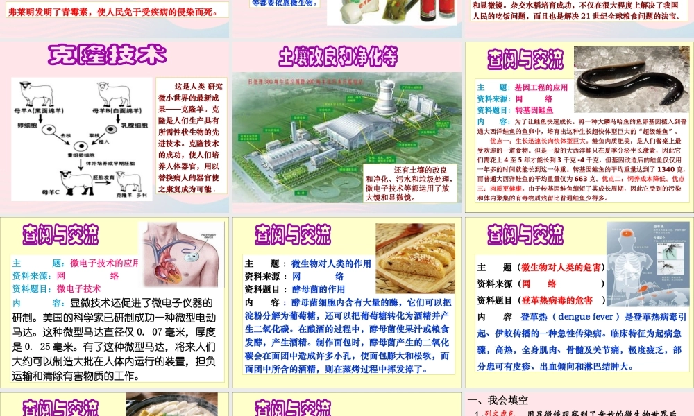 六年级科学下册 第一单元 微小世界 8 微小世界和我们课件2 教科版-教科版小学六年级下册自然科学课件