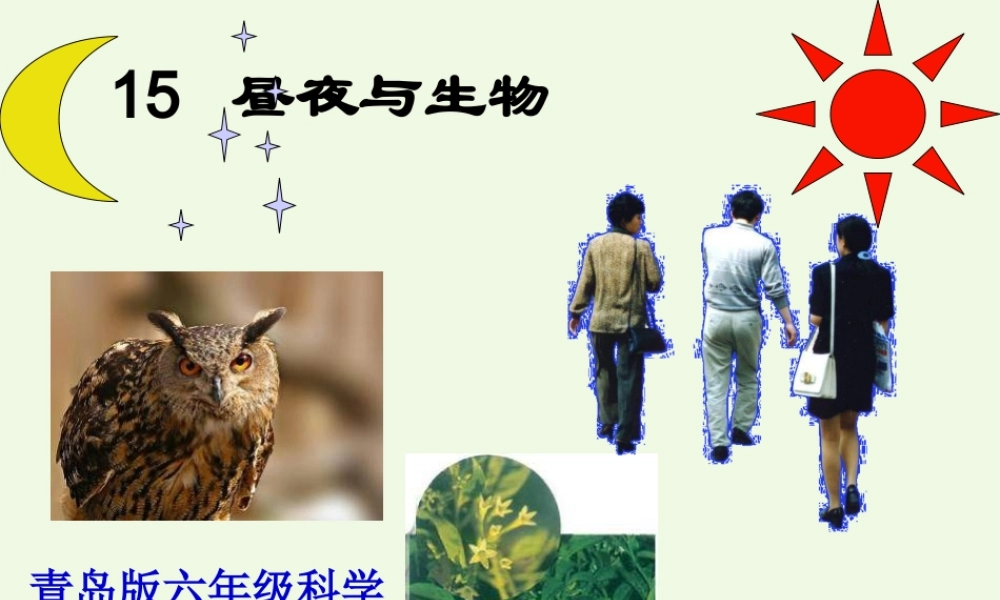 六年级科学上册 昼夜与生物课件6 青岛版-青岛版小学六年级上册自然科学课件