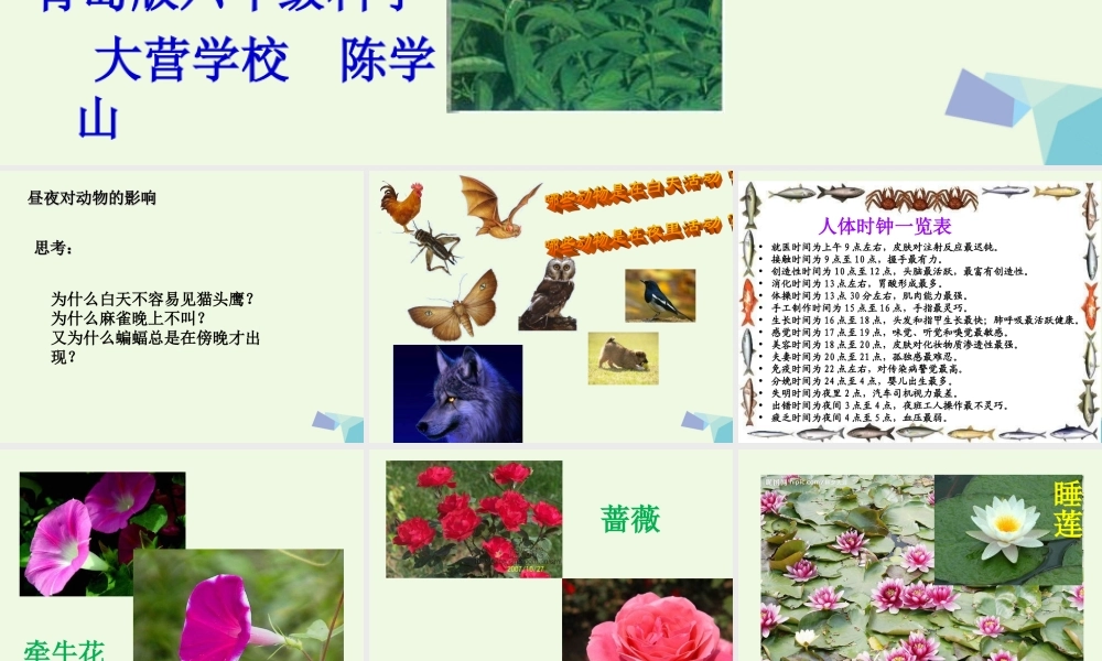 六年级科学上册 昼夜与生物课件6 青岛版-青岛版小学六年级上册自然科学课件