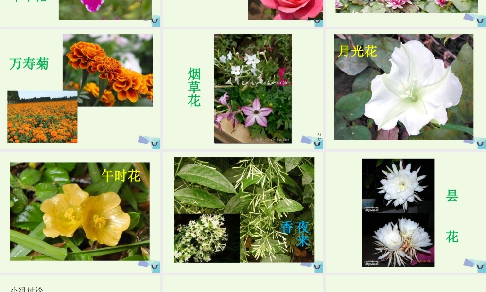 六年级科学上册 昼夜与生物课件6 青岛版-青岛版小学六年级上册自然科学课件