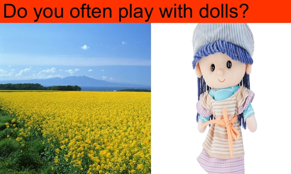 六年级英语上册 Module 8 Unit 1 Do you often play with dolls课件外研版（三起）-外研版小学六年级上册英语课件
