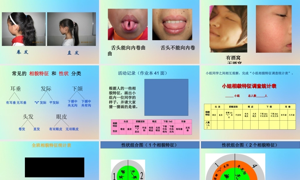 六年级科学上册 生物的多样性 5相貌各异的我们课件 教科版-教科版小学六年级上册自然科学课件