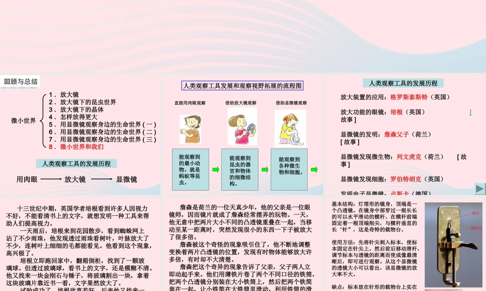 六年级科学下册 第一单元 微小世界 8 微小世界和我们课件3 教科版-教科版小学六年级下册自然科学课件