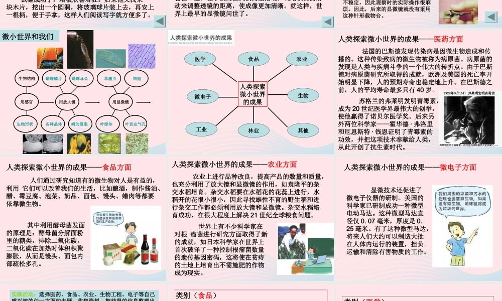 六年级科学下册 第一单元 微小世界 8 微小世界和我们课件3 教科版-教科版小学六年级下册自然科学课件