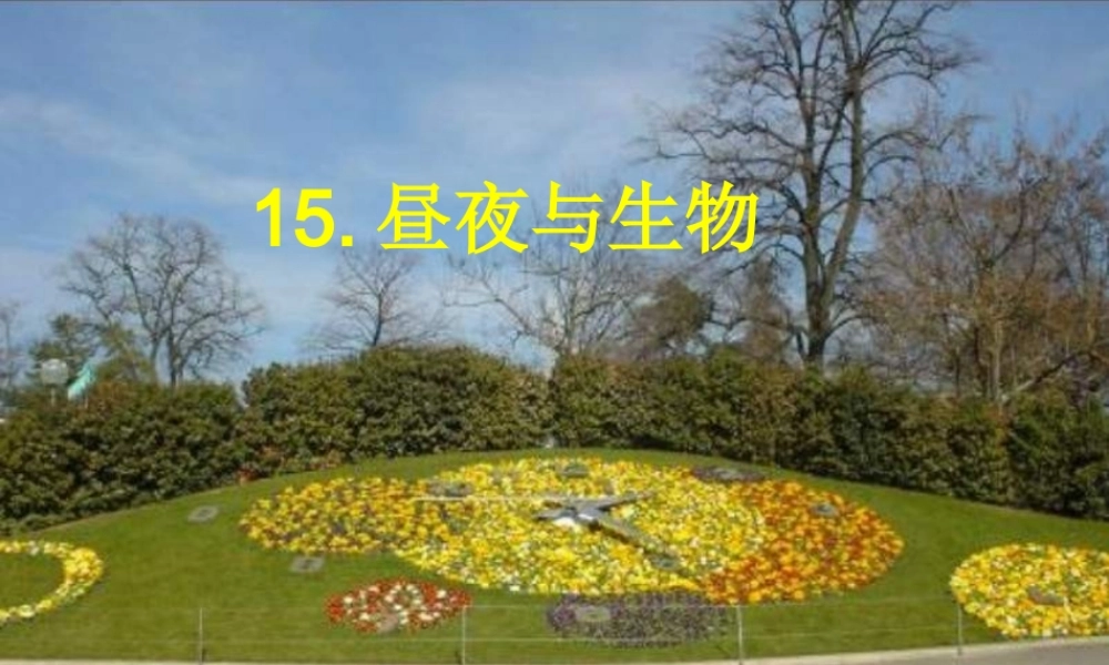 六年级科学上册 昼夜与生物课件7 青岛版-青岛版小学六年级上册自然科学课件