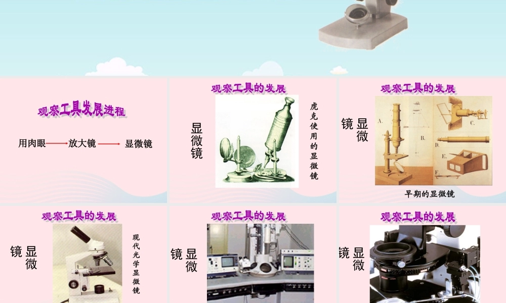 六年级科学下册 第一单元 微小世界 8 微小世界和我们课件4 教科版-教科版小学六年级下册自然科学课件