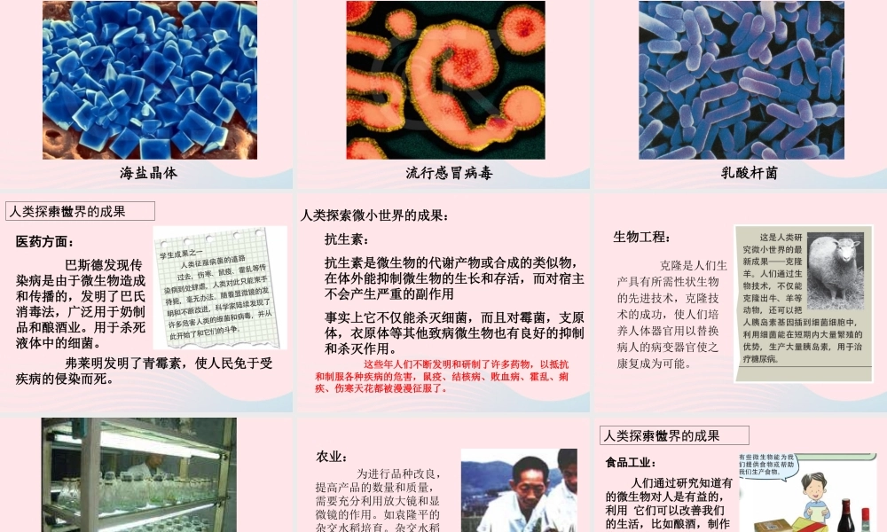 六年级科学下册 第一单元 微小世界 8 微小世界和我们课件4 教科版-教科版小学六年级下册自然科学课件