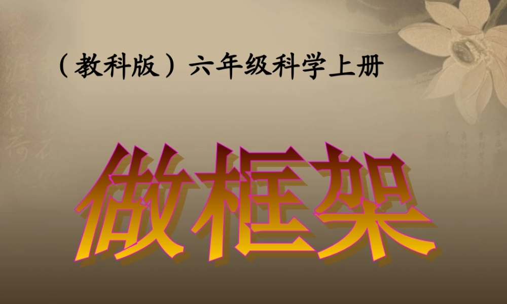 六年级科学上册 做框架课件 教科版