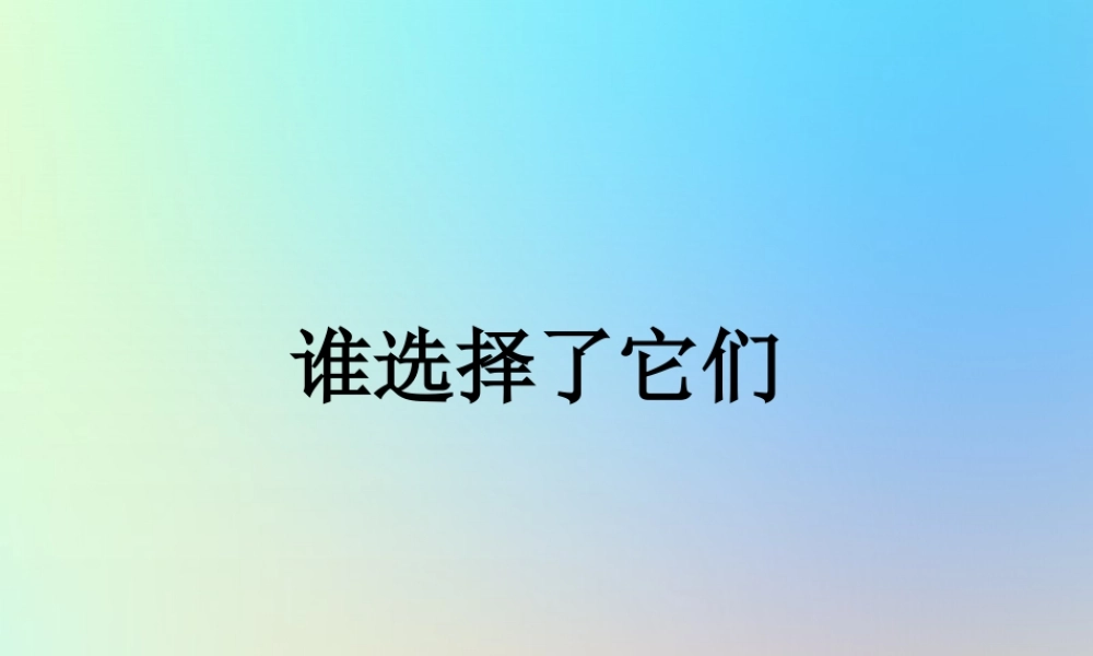 六年级科学上册 生物的多样性 7谁选择了它们课件 教科版-教科版小学六年级上册自然科学课件