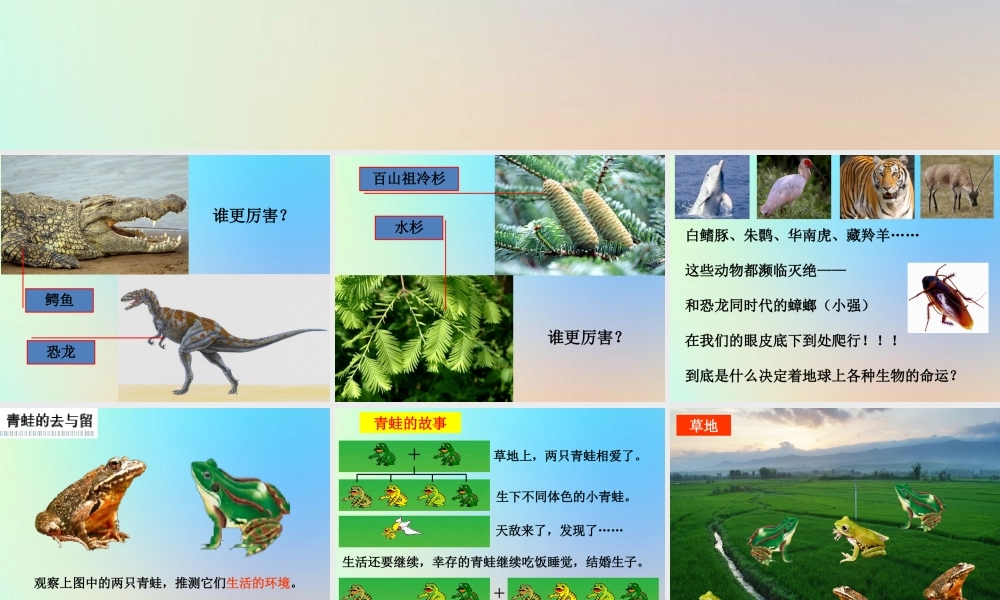 六年级科学上册 生物的多样性 7谁选择了它们课件 教科版-教科版小学六年级上册自然科学课件