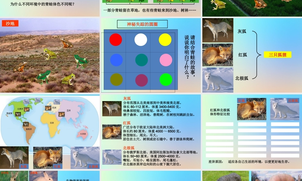 六年级科学上册 生物的多样性 7谁选择了它们课件 教科版-教科版小学六年级上册自然科学课件