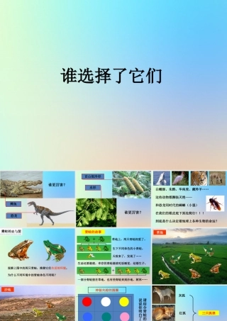 六年级科学上册 生物的多样性 7谁选择了它们课件 教科版-教科版小学六年级上册自然科学课件