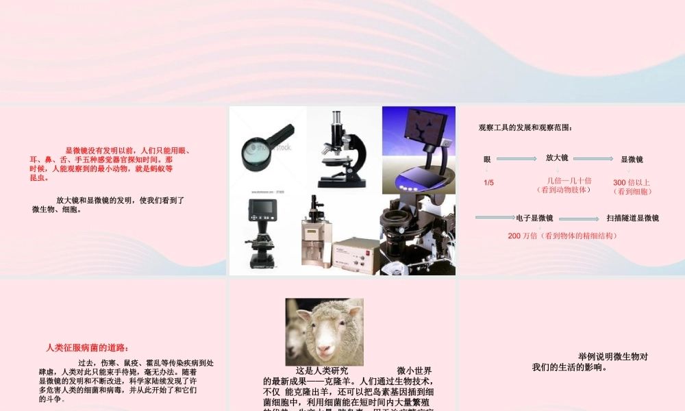 六年级科学下册 第一单元 微小世界 8 微小世界和我们课件5 教科版-教科版小学六年级下册自然科学课件