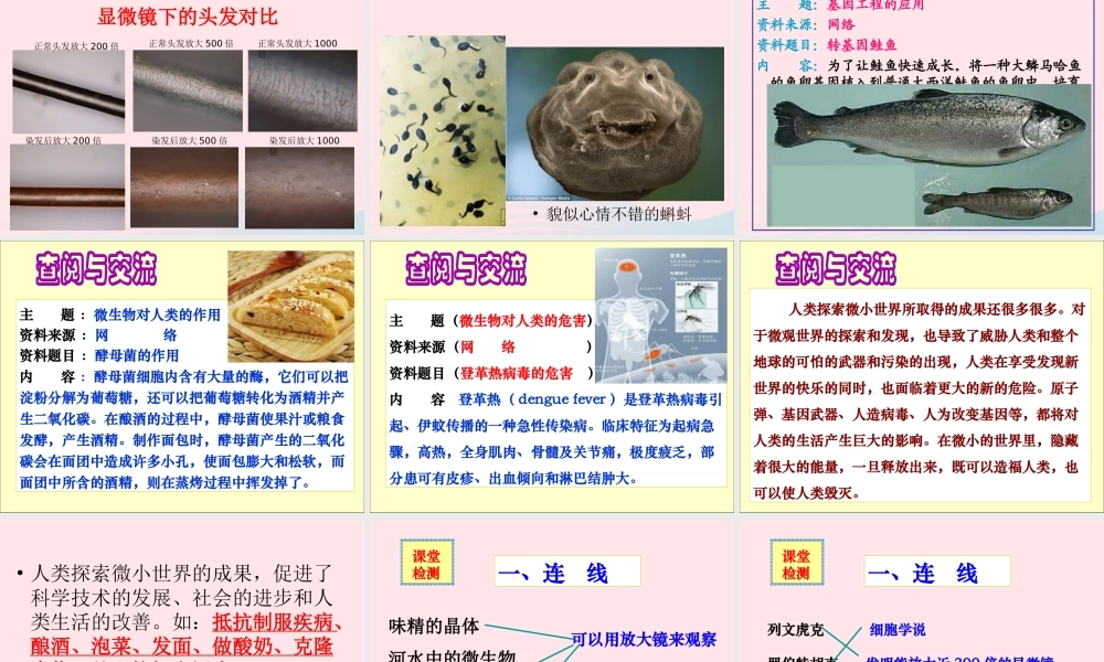 六年级科学下册 第一单元 微小世界 8 微小世界和我们课件6 教科版-教科版小学六年级下册自然科学课件