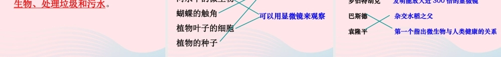 六年级科学下册 第一单元 微小世界 8 微小世界和我们课件6 教科版-教科版小学六年级下册自然科学课件