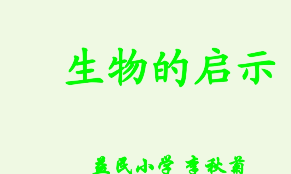 六年级科学上册 生物的启示课件1 青岛版-青岛版小学六年级上册自然科学课件