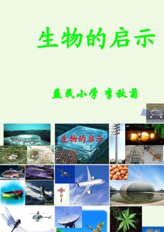 六年级科学上册 生物的启示课件1 青岛版-青岛版小学六年级上册自然科学课件