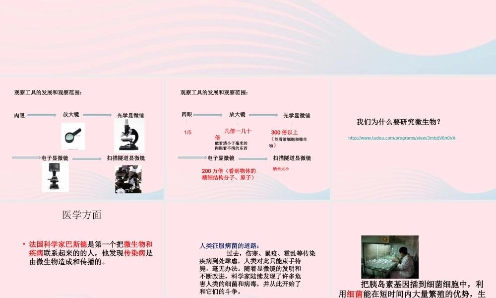 六年级科学下册 第一单元 微小世界 8 微小世界和我们课件7 教科版-教科版小学六年级下册自然科学课件