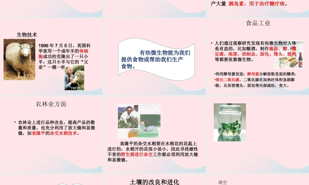 六年级科学下册 第一单元 微小世界 8 微小世界和我们课件7 教科版-教科版小学六年级下册自然科学课件