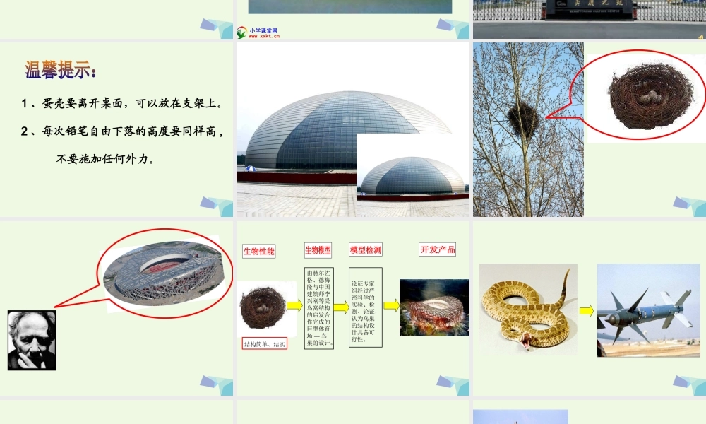 六年级科学上册 生物的启示课件2 青岛版-青岛版小学六年级上册自然科学课件