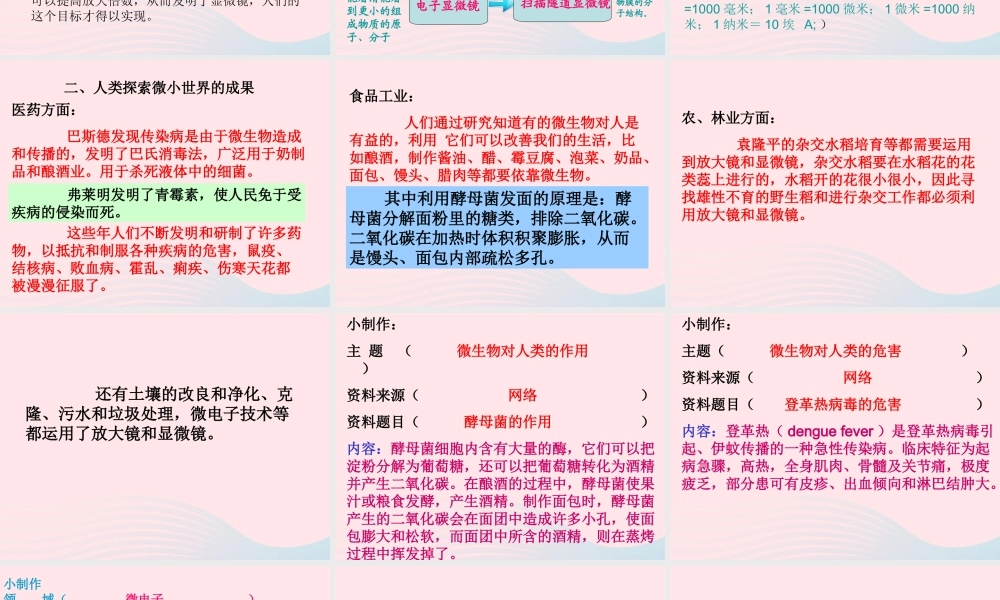 六年级科学下册 第一单元 微小世界 8微小世界和我们课件 教科版-教科版小学六年级下册自然科学课件